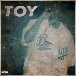 Toy