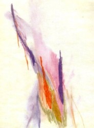 Gravity's Rainbow