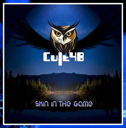 Skin in the Game