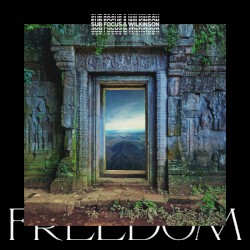 Freedom (Sub Focus x Wilkinson x High Contrast remix)