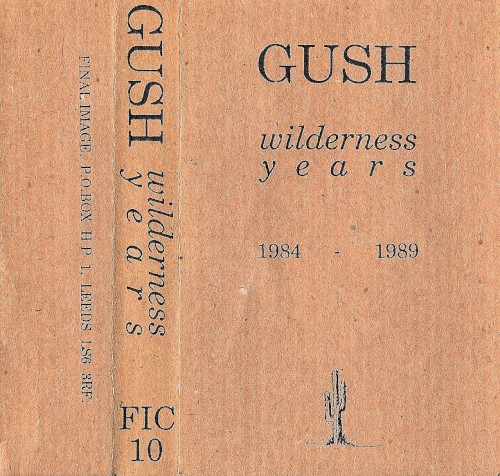 Wilderness Years 1984-1989