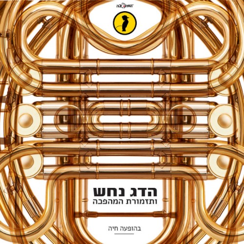 בהופעה חיה