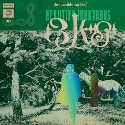 The Invisible World of Beautify Junkyards