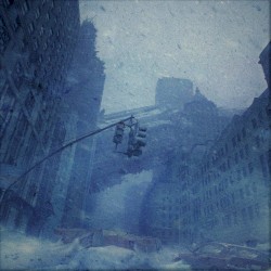 Metropolis