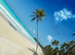 Coast 4
