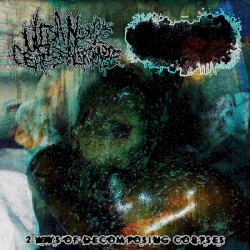 2 Ways of Decomposing Corpses