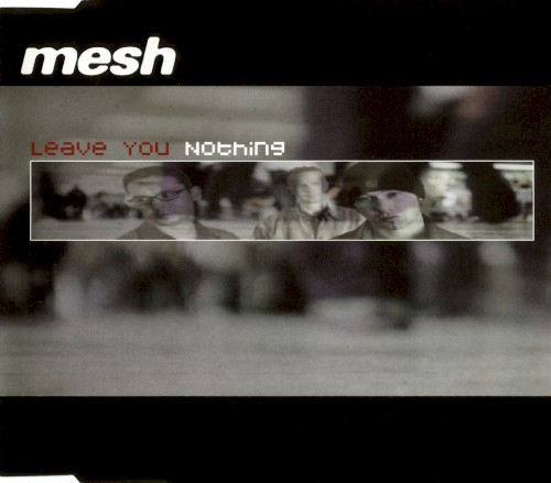 Leave You Nothing