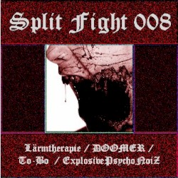 Split Fight 008