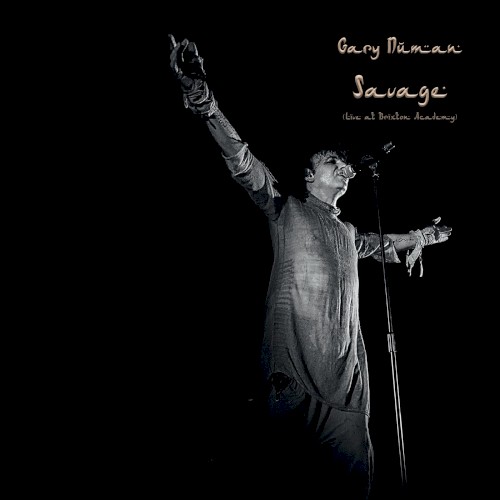 Savage (live at Brixton Academy)