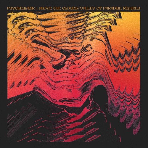 Valley of Paradise Remixes