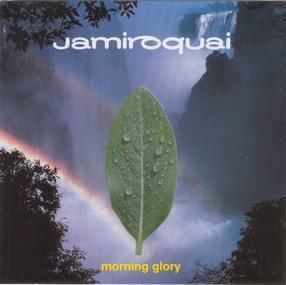 Morning Glory