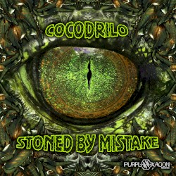Stoned by Mistake