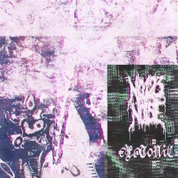 €L@T0NiC/N0123NOISE Split