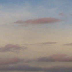 Overturned Horizon