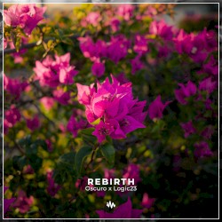 Rebirth
