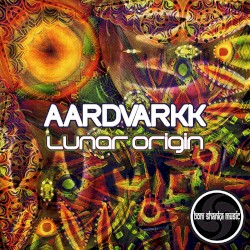 Lunar Origin
