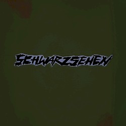 Schwarzsehen