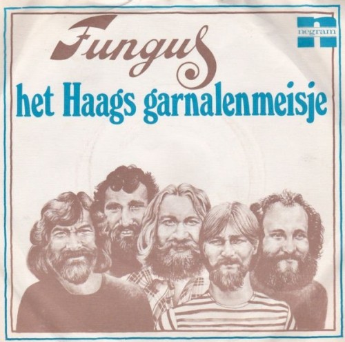 Het haags garnalenmeisje