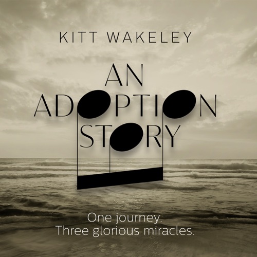 An Adoption Story: One Journey. Three Glorious Miracles.