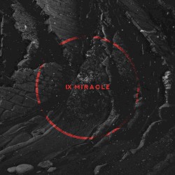 IX Miracle: Dark Matter