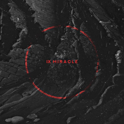 IX Miracle: Dark Matter