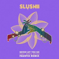 Never Let You Go (Faustix remix)