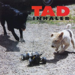 Inhaler