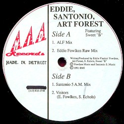 Detroit Techno Soul