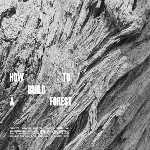 How To Build A Forest