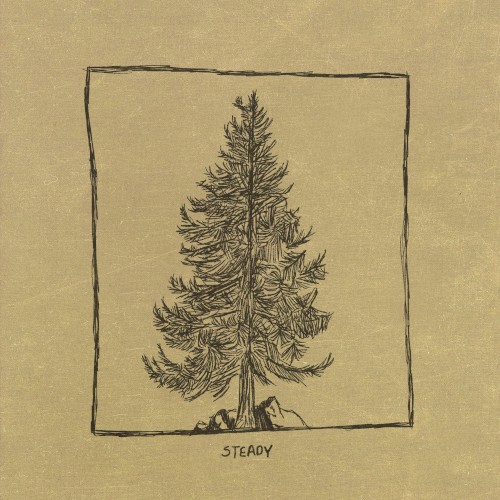 Steady