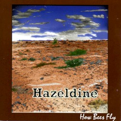 How Bees Fly