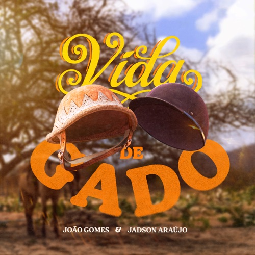 Vida de Gado
