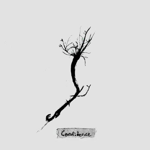 Confidence