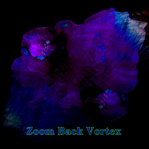 Zoom Back Vortex