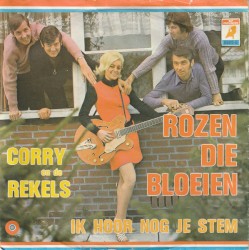 Rozen die bloeien