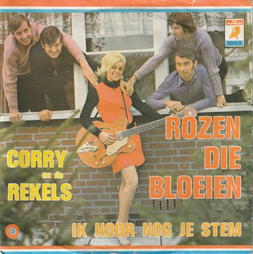 Rozen die bloeien
