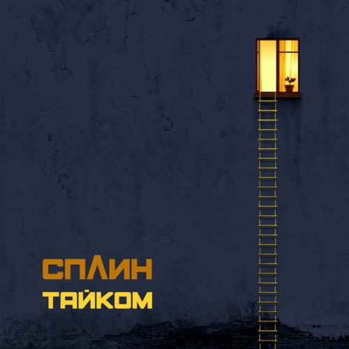 Taikom