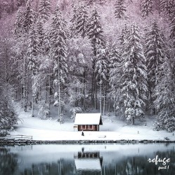 Refuge: Part I