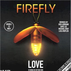 Love Is Gonna Be On Your Side (Remixes)