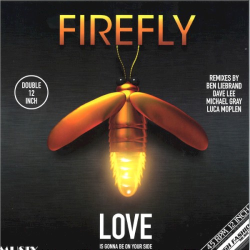 Love Is Gonna Be On Your Side (Remixes)
