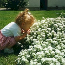 Theology of Beauty: Spring