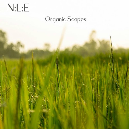Organic Scapes