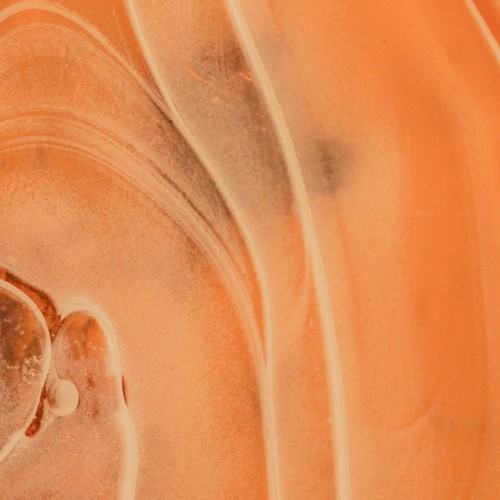 sahara