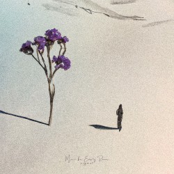 Music for Empty Rooms