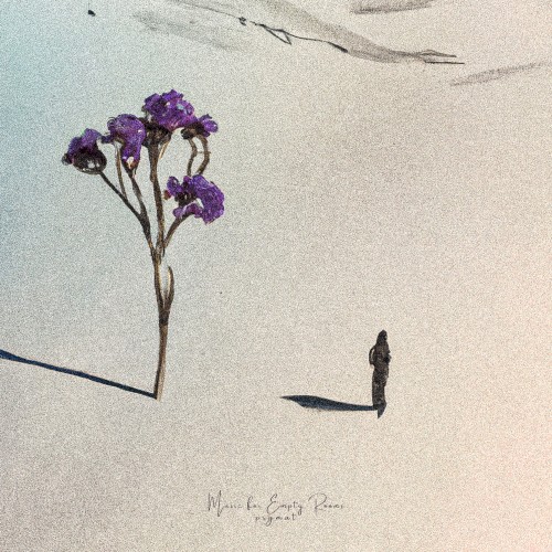 Music for Empty Rooms
