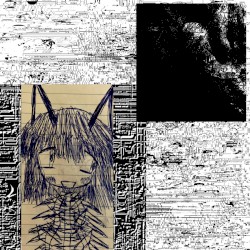 Noise Wall Interpreter