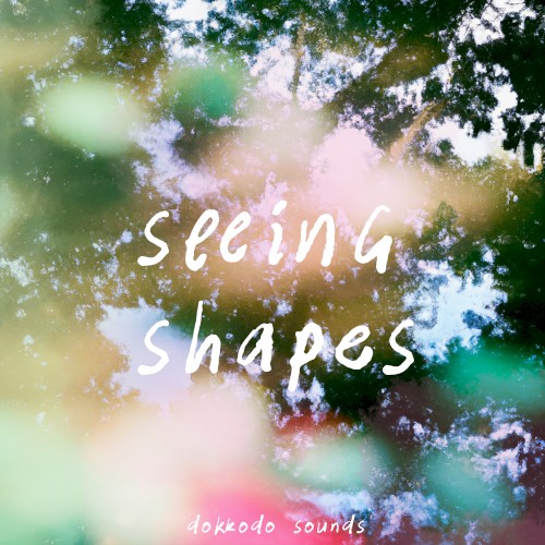 Seeing Shapes