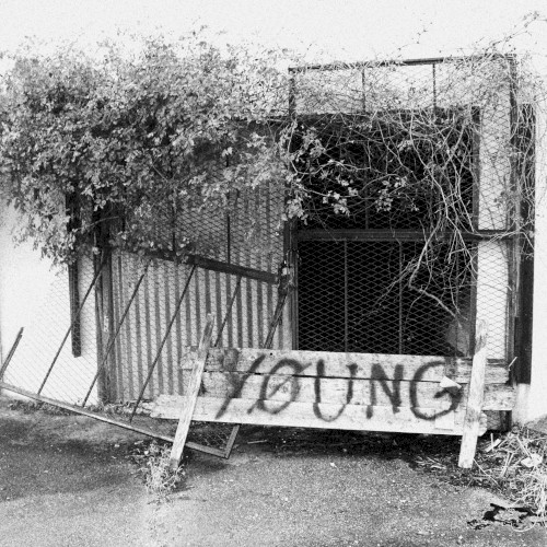 YØUNG