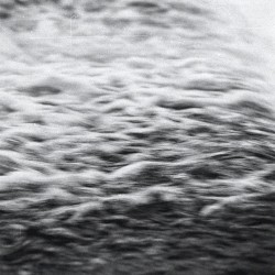 Monochrome