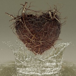 Las canciones del agua